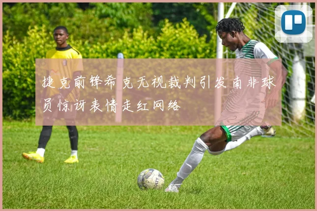 捷克前锋希克无视裁判引发南非球员惊讶表情走红网络