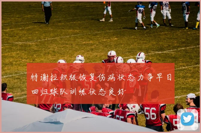 特谢拉积极恢复伤病状态力争早日回归球队训练状态良好
